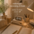 Un coin d'étude cosy avec une lumière douce et des plantes décoratives.