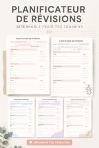Un étudiant utilisant des ressources imprimables pour ses révisions d'examen.