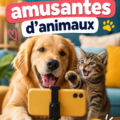 Un chat et un chien jouant ensemble et se comportant de manière drôle.