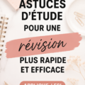 Étudiant concentré à son bureau avec des livres et des notes bien organisés.