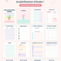 Un étudiant utilisant un modèle d'organisation pour planifier ses études