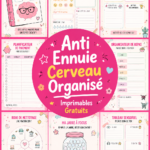 Un exemple de planner étudiant à imprimer pour aider à organiser le travail scolaire.