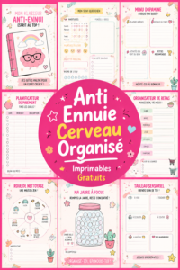 Un exemple de planner étudiant à imprimer pour aider à organiser le travail scolaire.