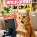 Un chat en train de jouer avec une balle de laine drôle, capturant un moment cocasse.