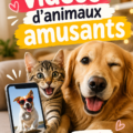Un chien jouant joyeusement dans un parc, illustrant le thème des vidéos d'animaux amusants.