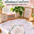 293 pages imprimables pour une meilleure organisation étudiante