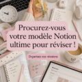 Capture d'écran d'un gabarit Notion pour l'organisation des études