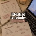 Un étudiant studieux dans un espace d'étude accueillant, entouré de décorations inspirantes.