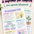 Des fiches de révision imprimables organisées par chapitre sur un bureau d'étudiant.